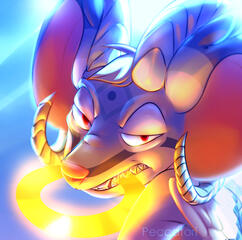 Headshot | Ambient background