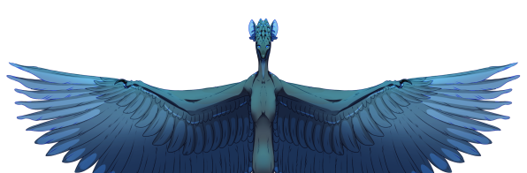 Fullbody | No background